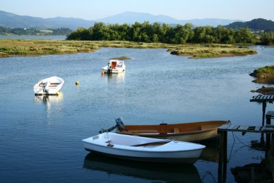 Marismas de la Ra de Guernica en Busturia