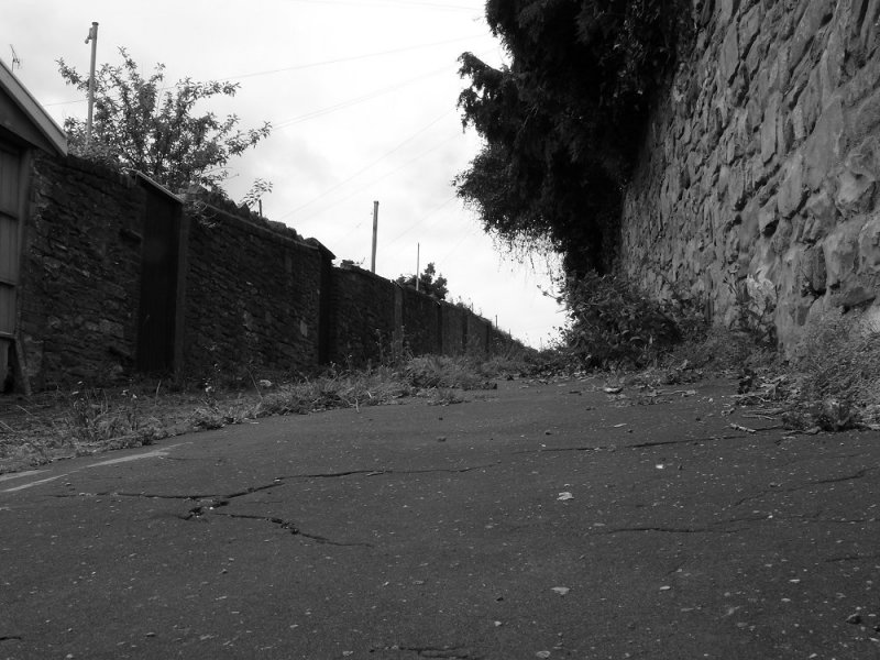 Back Lane