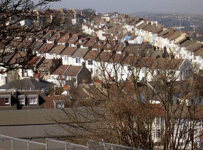 Rooftops of Brighton