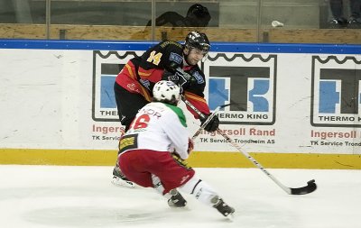 IMG_0015.jpg