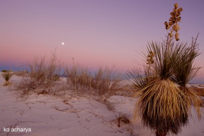 White Sands - Sunset and Moonrise