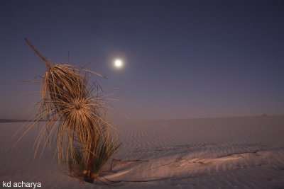 White Sands - Moonrise