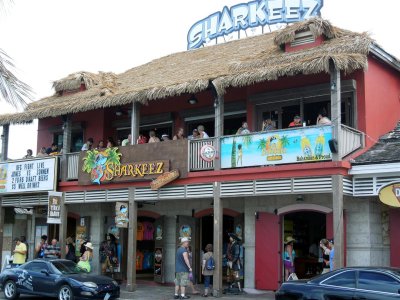 Sharkeez of Nassau