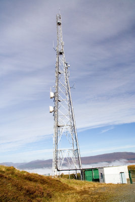 mast 1.jpg