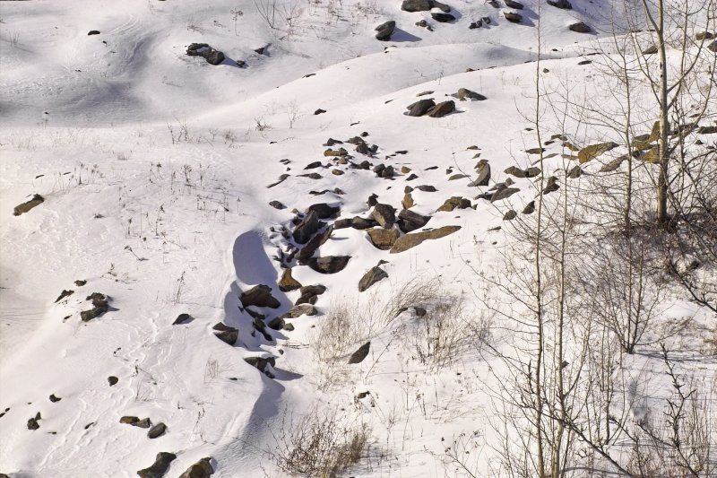 IMG19607.jpg