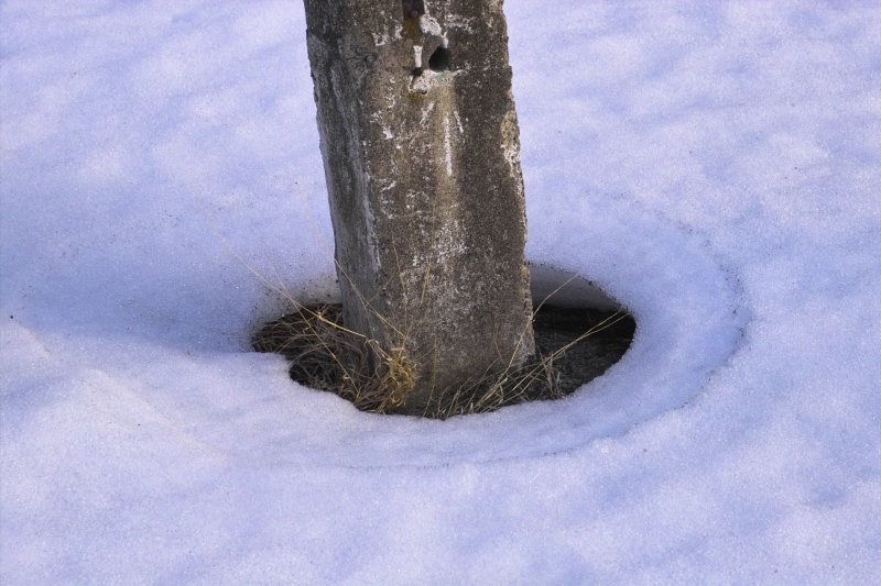 IMG19636.jpg
