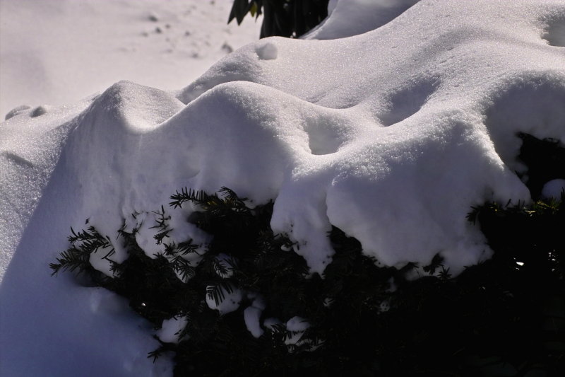 IMG19762.jpg