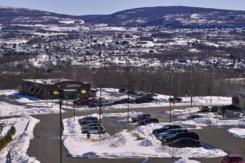 IMG19779.jpg
