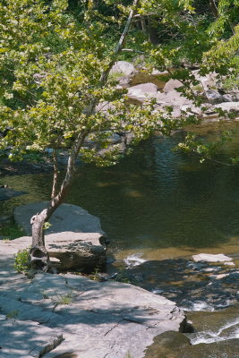 SDIM5175.jpg