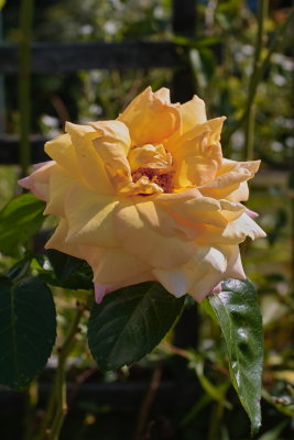 g6/59/257559/3/86783936.uw9xCsjX.jpg