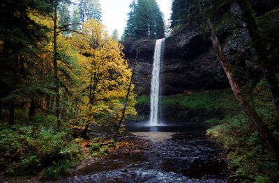 Silver Falls State Park, OR