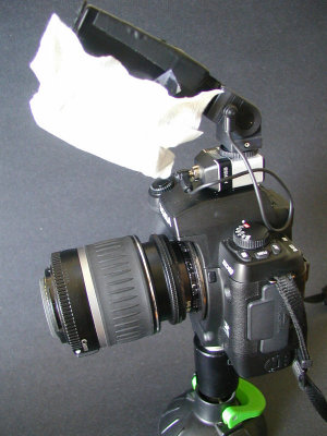 Canon 18-55mm kit lens reversed as a macro