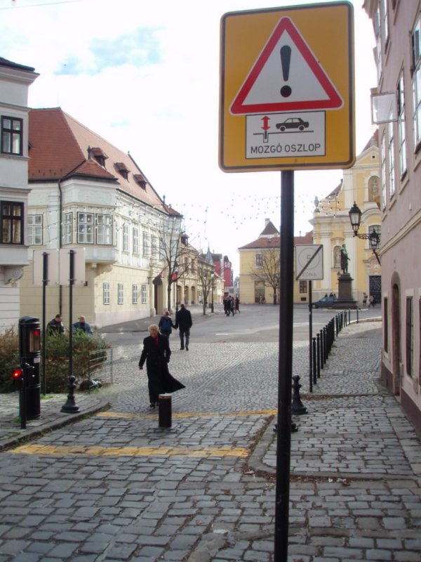 P1140039.JPG