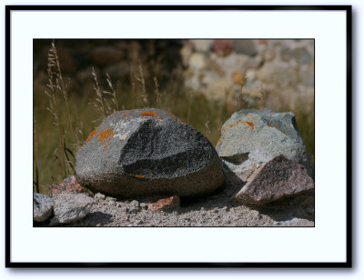 Nicolle Rocks