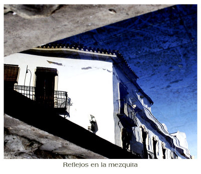 reflejos en la mezquita.jpg