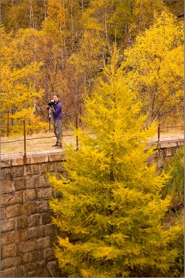 _DSC5080.jpg