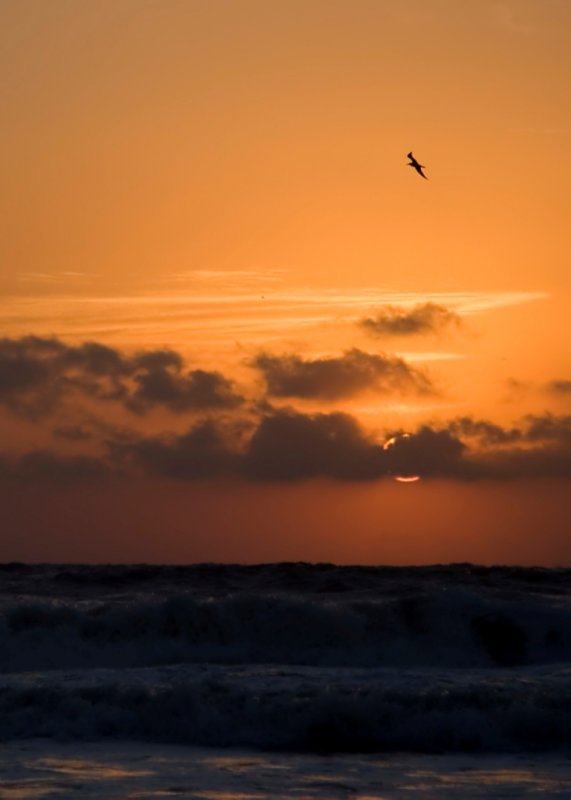 Tybee 2006 (27).JPG