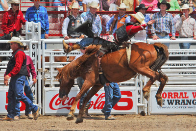 WY Cheyenne 35 Rodeo Bareback Riding.jpg