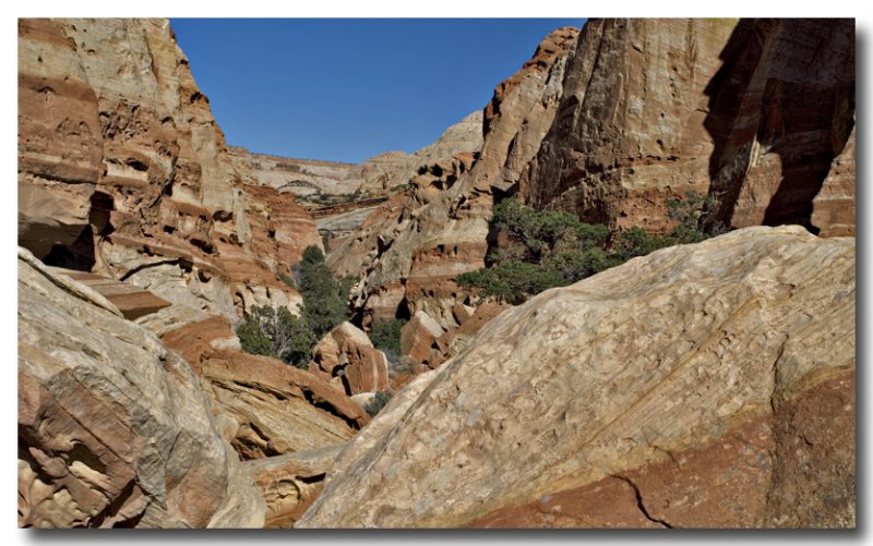 Cohab Canyon
