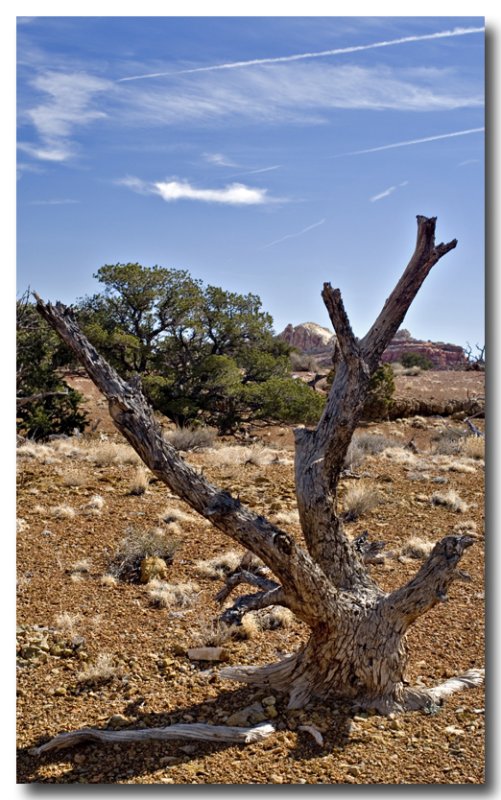 Along Chimney Rock Trail 1