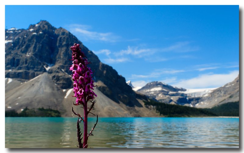 Bow Lake