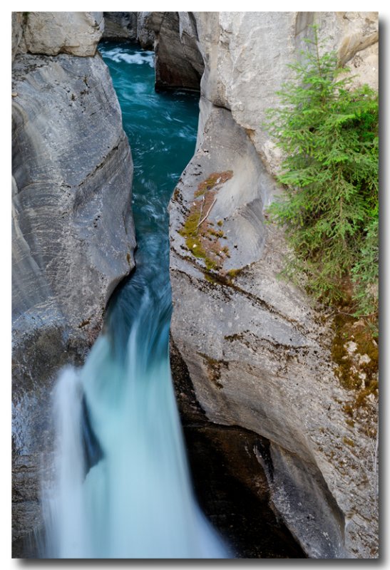 Maligne Canyon