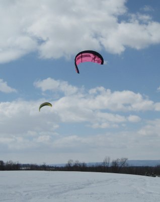 IMG_0135_2.jpg