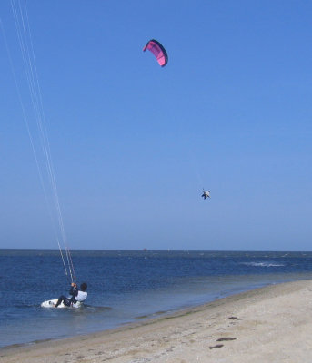 IMG_5955_2.jpg