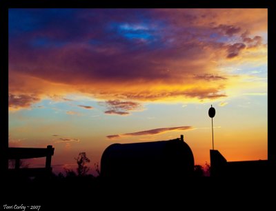 Silhouettes at Twilight