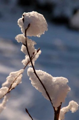 Snowball 2