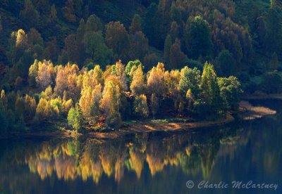 Loch Voil - DSC_3370.jpg