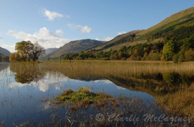 Loch Voil, Balquhidder - DSC_3386.jpg