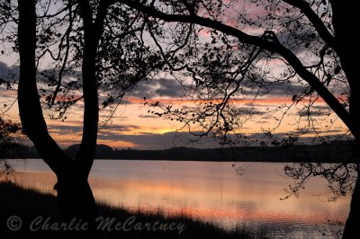 Lochgelly, Fife - DSC_3483.jpg