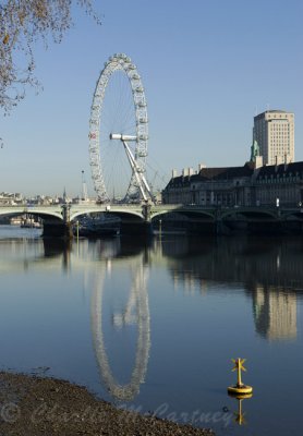 London Eye - DSC_5666.jpg