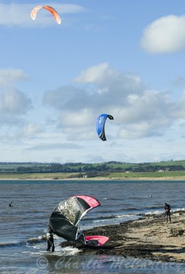 Shell Bay, Fife - DSC_6248.jpg