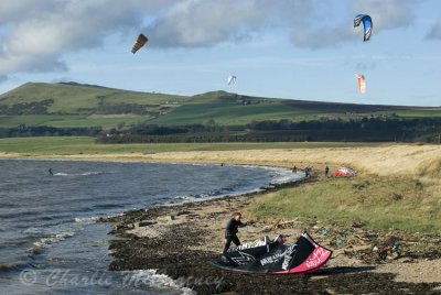 Shell Bay, Fife - DSC_6252.jpg