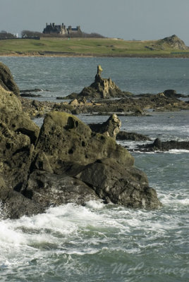 Elie, Fife - DSC_6187.jpg