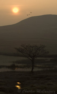 Loch Moraig, Blair Atholl - DSC_7173.jpg