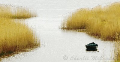 Port Allen, River Tay - DSC_7436.jpg