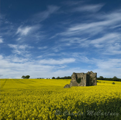 Kirkforthar House, Glenrothes - DSC_8096_97.jpg