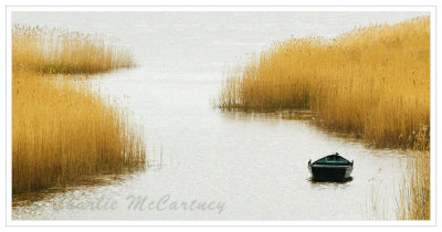 Port Allen, River Tay - DSC_7436.jpg