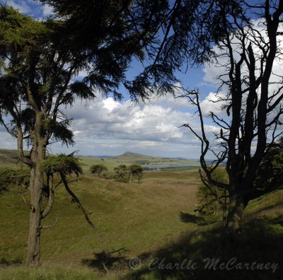 East Lomond - DSC_1249_50.jpg