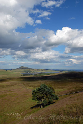 East Lomond - DSC_1266.jpg