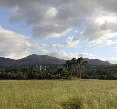 Ben Vrackie, Pitlochry - DSC_1683_84.jpg