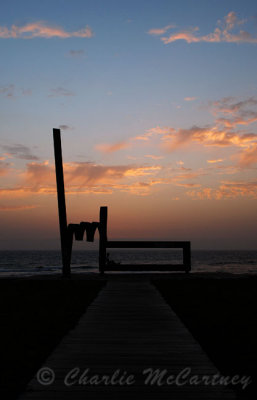 Iron Sculpture - DSC_2951.jpg