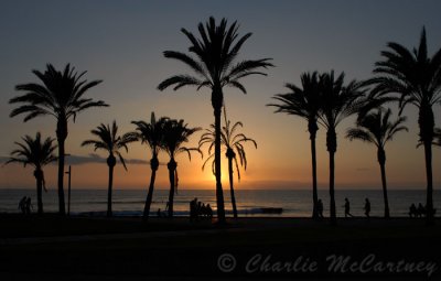 DSC_3113.jpg