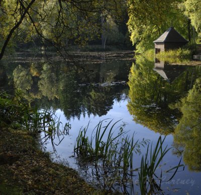 Dunmore Pond, Pitlochry - DSC_3884_85.jpg