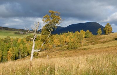 Carn Laith, Blair Atholl - DSC_3791.jpg