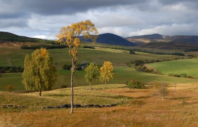 Glen Fender, Blair Atholl - DSC_3795.jpg