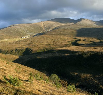 Cairn Gorm -  DSC_4231_32.jpg